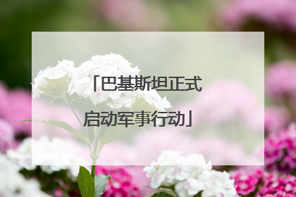 巴基斯坦正式启动军事行动