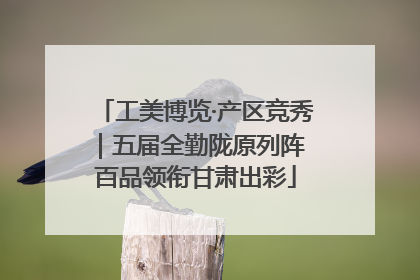 工美博览·产区竞秀｜五届全勤陇原列阵 百品领衔甘肃出彩