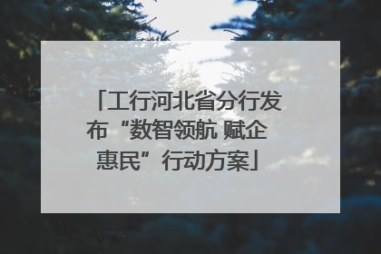 工行河北省分行发布“数智领航 赋企惠民”行动方案