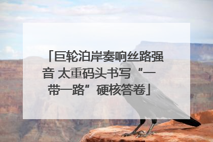 巨轮泊岸奏响丝路强音 太重码头书写“一带一路”硬核答卷
