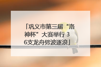 巩义市第三届“洛神杯”大赛举行 36支龙舟劈波逐浪
