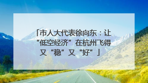 市人大代表徐向东：让“低空经济”在杭州飞得又“稳”又“好”