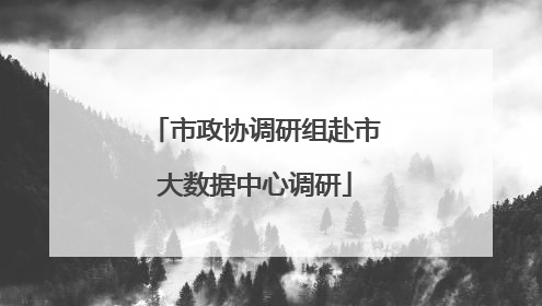 市政协调研组赴市大数据中心调研