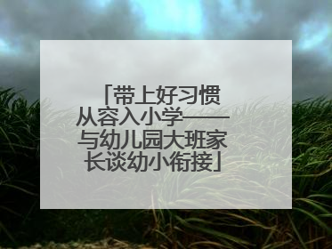 带上好习惯 从容入小学——与幼儿园大班家长谈幼小衔接