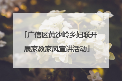 广信区黄沙岭乡妇联开展家教家风宣讲活动