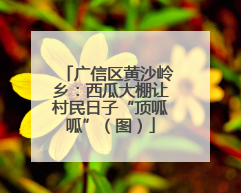广信区黄沙岭乡：西瓜大棚让村民日子“顶呱呱”（图）