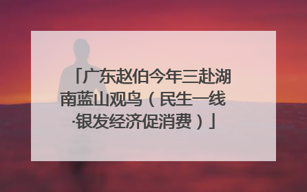广东赵伯今年三赴湖南蓝山观鸟（民生一线·银发经济促消费）