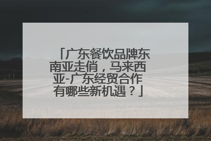 广东餐饮品牌东南亚走俏，马来西亚-广东经贸合作有哪些新机遇？