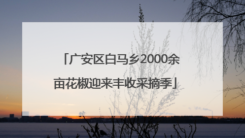 广安区白马乡2000余亩花椒迎来丰收采摘季