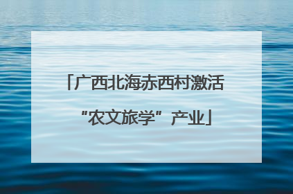 广西北海赤西村激活“农文旅学”产业