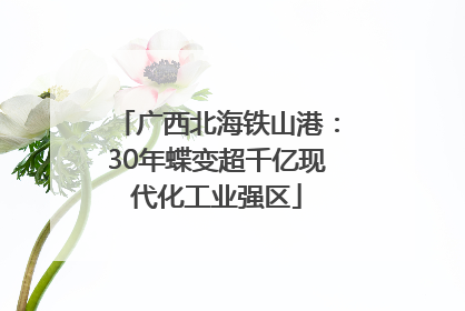 广西北海铁山港：30年蝶变超千亿现代化工业强区