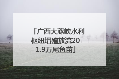 广西大藤峡水利枢纽增殖放流201.9万尾鱼苗