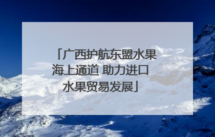 广西护航东盟水果海上通道 助力进口水果贸易发展