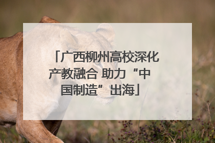 广西柳州高校深化产教融合 助力“中国制造”出海