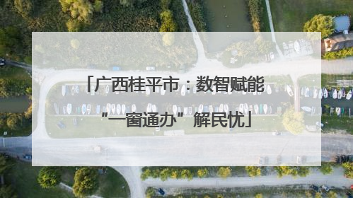 广西桂平市：数智赋能“一窗通办”解民忧