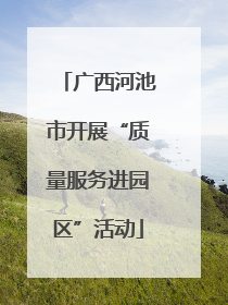 广西河池市开展“质量服务进园区”活动