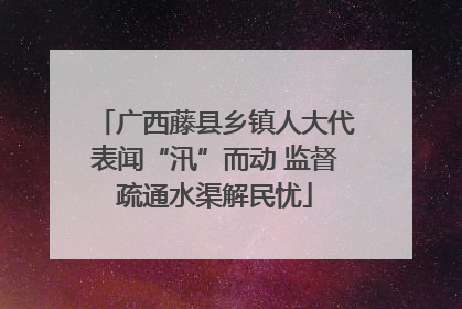 广西藤县乡镇人大代表闻“汛”而动 监督疏通水渠解民忧