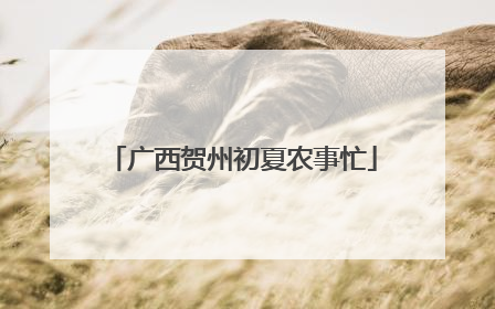 广西贺州初夏农事忙