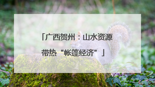 广西贺州：山水资源带热“帐篷经济”