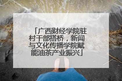 广西财经学院驻村干部搭桥，新闻与文化传播学院赋能油茶产业振兴