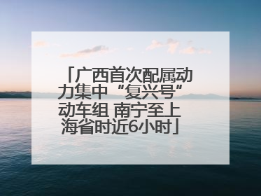 广西首次配属动力集中“复兴号”动车组 南宁至上海省时近6小时