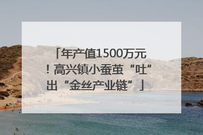 年产值1500万元！高兴镇小蚕茧“吐”出“金丝产业链”