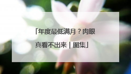 年度最低满月？肉眼真看不出来｜图集