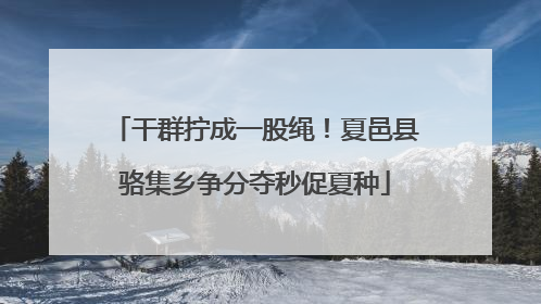 干群拧成一股绳！夏邑县骆集乡争分夺秒促夏种