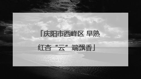 庆阳市西峰区 早熟红杏“云”端飘香