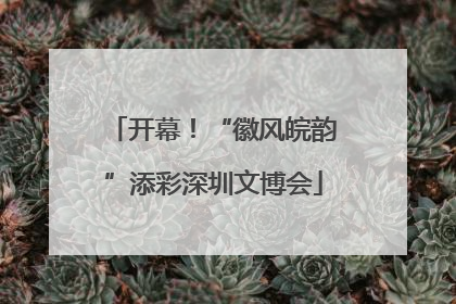 开幕！“徽风皖韵”添彩深圳文博会