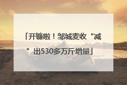 开镰啦！邹城麦收“减”出530多万斤增量