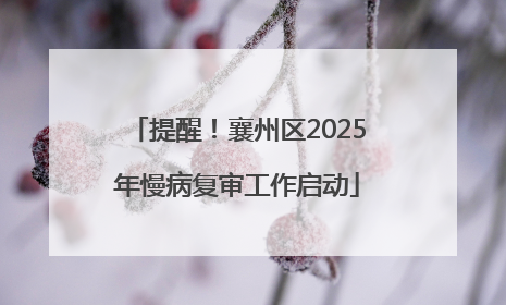 提醒！襄州区2025年慢病复审工作启动