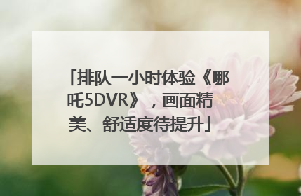 排队一小时体验《哪吒5DVR》，画面精美、舒适度待提升