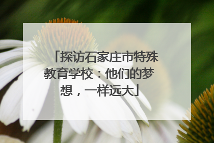 探访石家庄市特殊教育学校：他们的梦想，一样远大