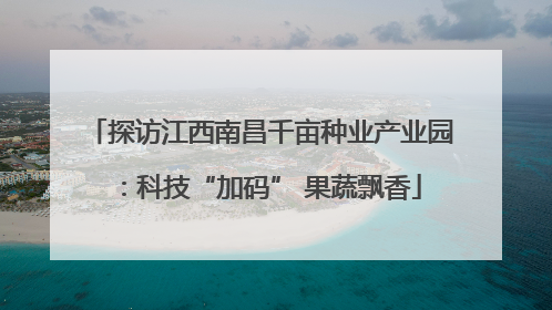 探访江西南昌千亩种业产业园：科技“加码” 果蔬飘香