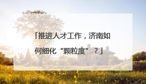 推进人才工作，济南如何细化“颗粒度”？