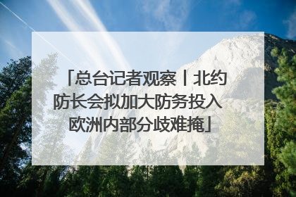 总台记者观察丨北约防长会拟加大防务投入 欧洲内部分歧难掩