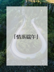 情系端午