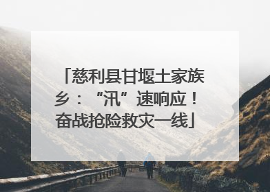 慈利县甘堰土家族乡：“汛”速响应！奋战抢险救灾一线