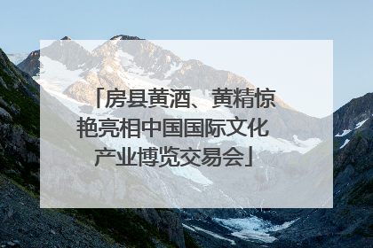 房县黄酒、黄精惊艳亮相中国国际文化产业博览交易会