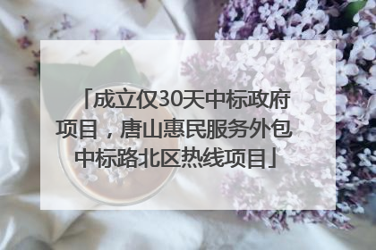 成立仅30天中标政府项目，唐山惠民服务外包中标路北区热线项目