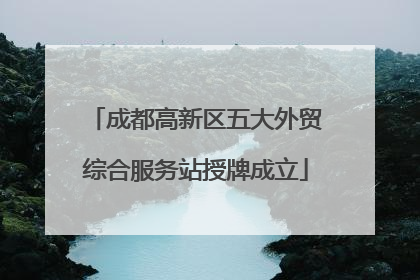 成都高新区五大外贸综合服务站授牌成立