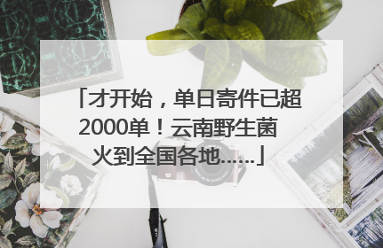 才开始，单日寄件已超2000单！云南野生菌火到全国各地……