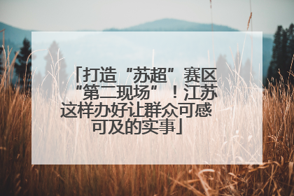 打造“苏超”赛区“第二现场”！江苏这样办好让群众可感可及的实事