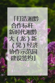 打造湘黔合作标杆 新时代湘黔大（龙）新（晃）经济协作示范园建设签约