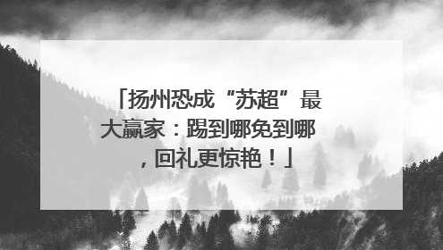 扬州恐成“苏超”最大赢家：踢到哪免到哪，回礼更惊艳！