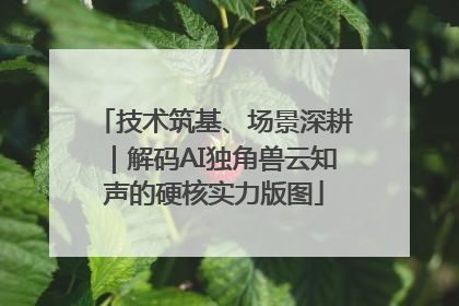 技术筑基、场景深耕｜解码AI独角兽云知声的硬核实力版图