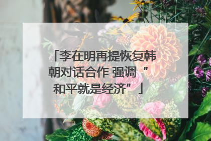 李在明再提恢复韩朝对话合作 强调“和平就是经济”