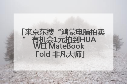 来京东搜“鸿蒙电脑拍卖” 有机会1元拍到HUAWEI MateBook Fold 非凡大师