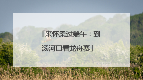 来怀柔过端午：到汤河口看龙舟赛